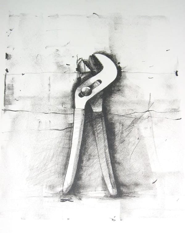 Amazing Observational Drawing Ideas