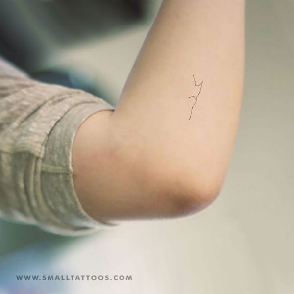 Awesome Aquarius Constellation Tattoo Designs With Meaning