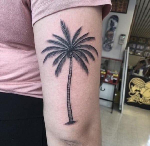 Beautiful Palm Tree Tattoo Designs And Meaning