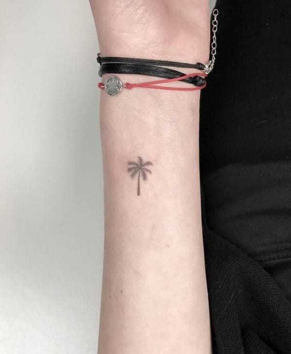 Beautiful Palm Tree Tattoo Designs And Meaning