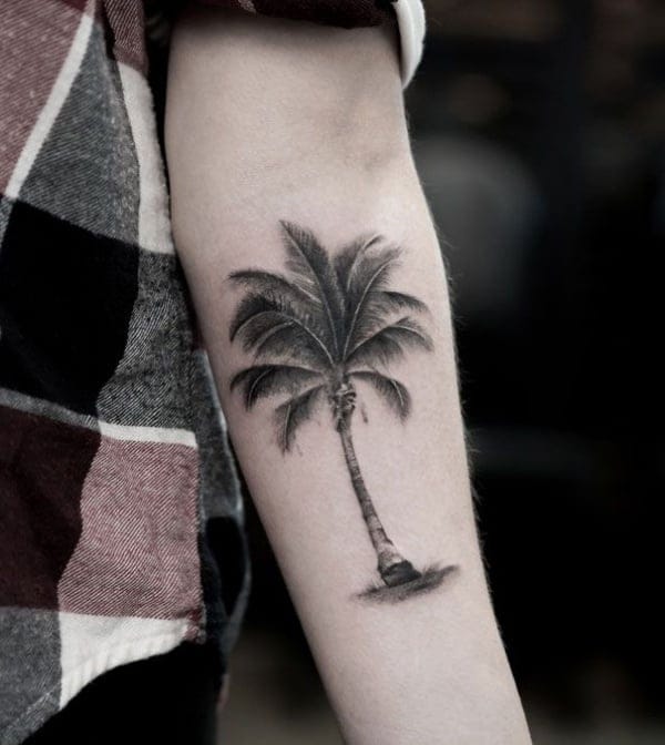 Beautiful Palm Tree Tattoo Designs And Meaning