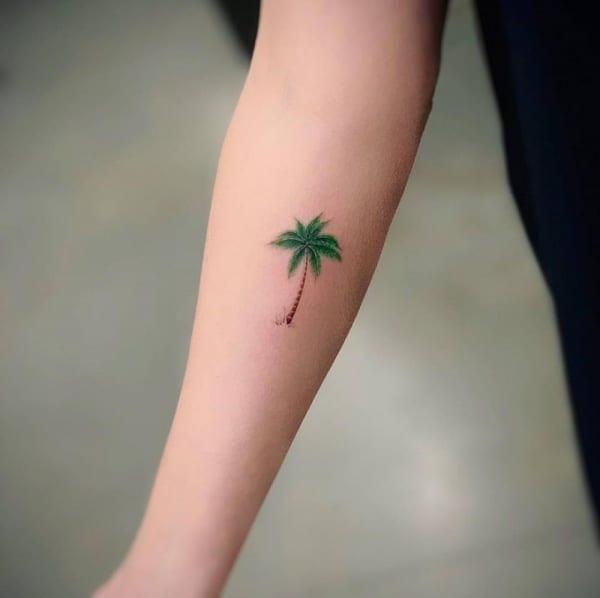 Beautiful Palm Tree Tattoo Designs For Tree Lovers