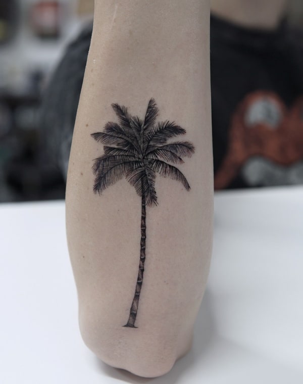 Beautiful Palm Tree Tattoo Designs For Tree Lovers