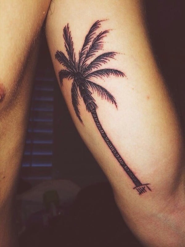 Beautiful Palm Tree Tattoo Designs For Tree Lovers