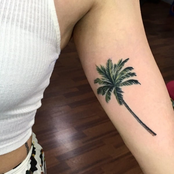 Beautiful Palm Tree Tattoo Designs For Tree Lovers
