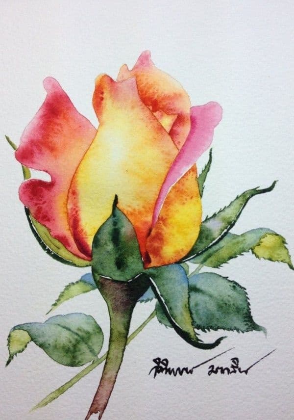 Easy Watercolor Painting Ideas For Beginners