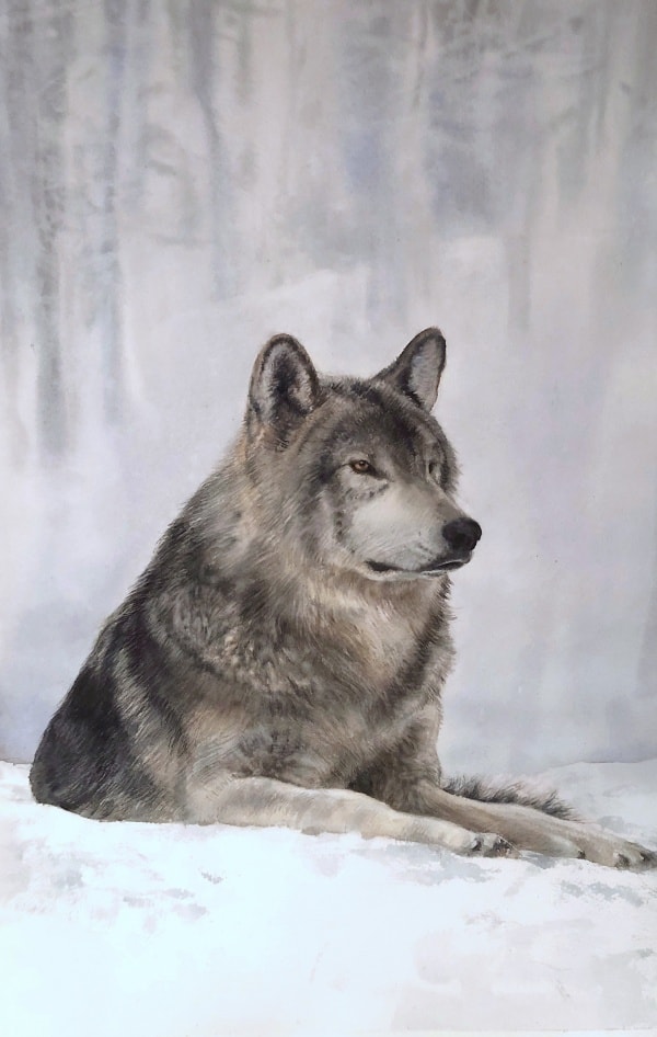 Featured image of post Simple Wolf Painting Ideas