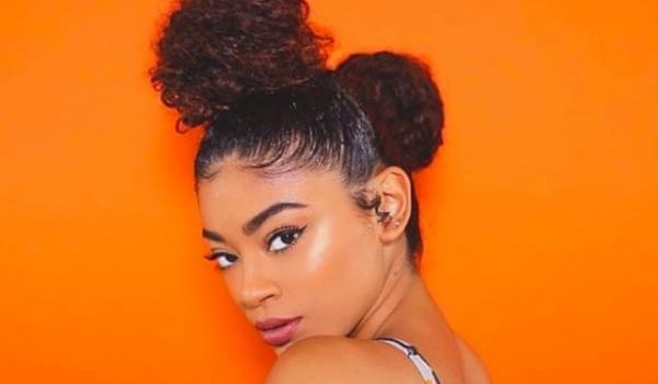 Protective Hairstyles For Curly Hair
