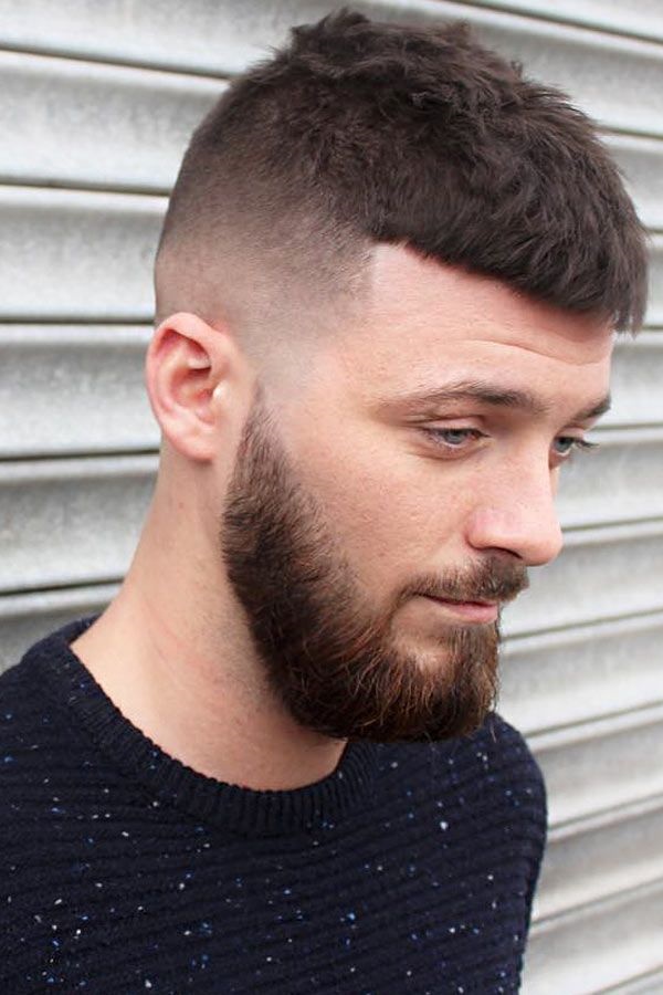 short hair with beard styles for men