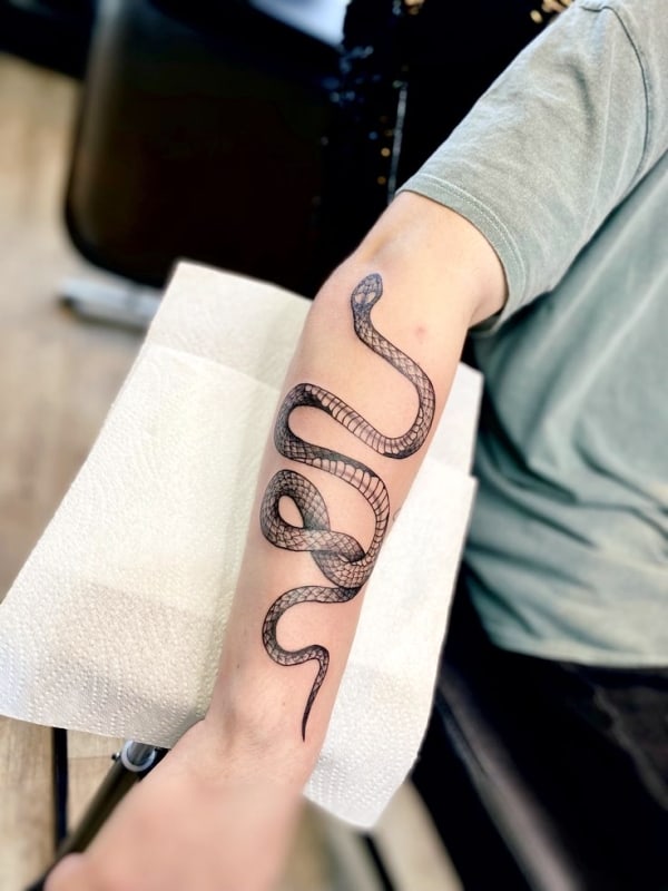 Snake Forearm Tattoos For Guys