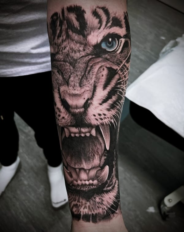 Tiger Forearm Tattoos For Guys